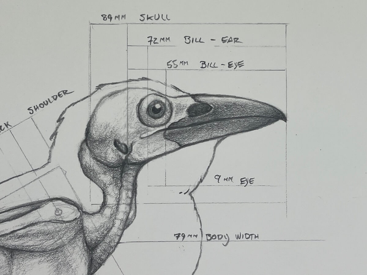 Crow Schematic Print 16x20