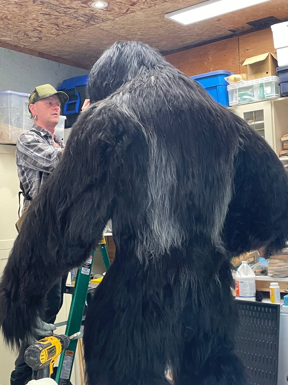 Life size Sasquatch/Bigfoot