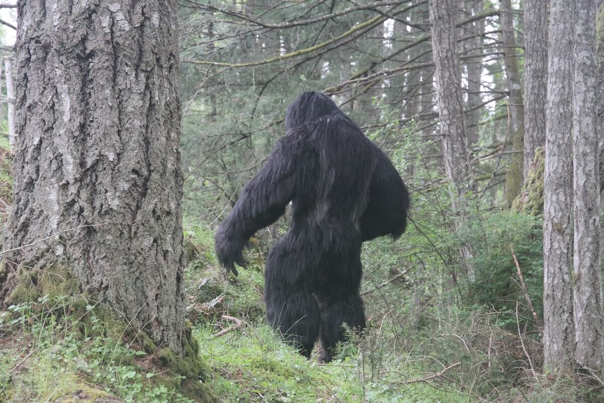 Life size Sasquatch/Bigfoot