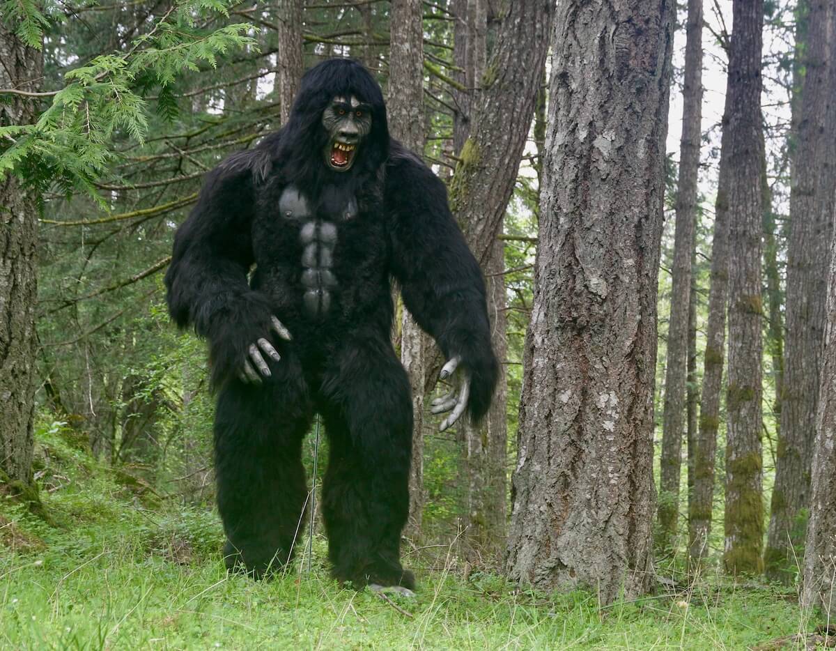 Life size Sasquatch/Bigfoot